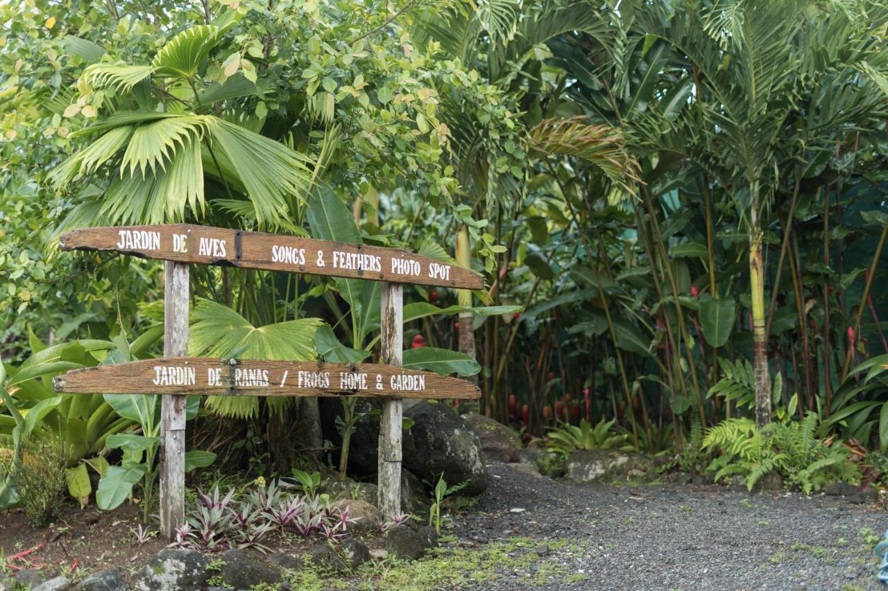 Cabanas Del Rio La Fortuna 外观 照片