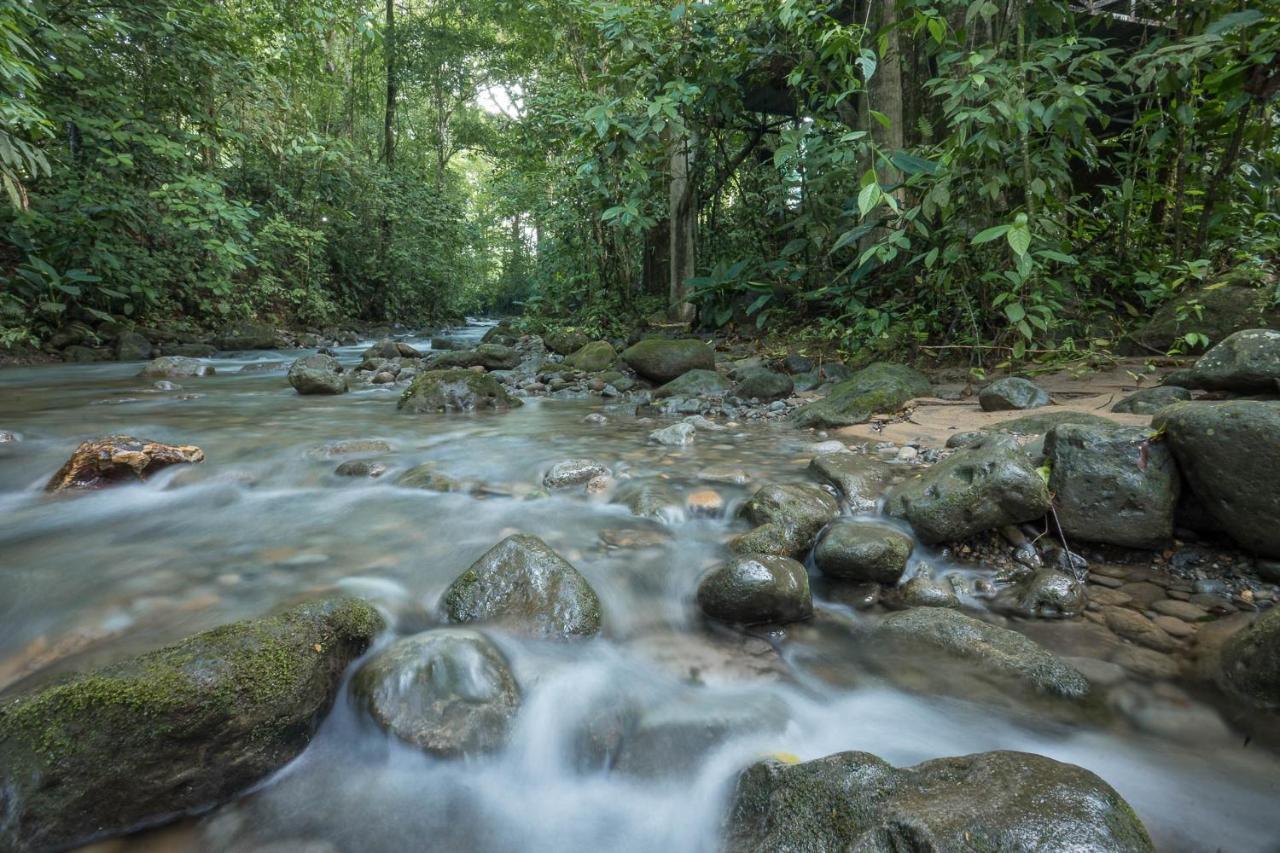 Cabanas Del Rio La Fortuna 外观 照片