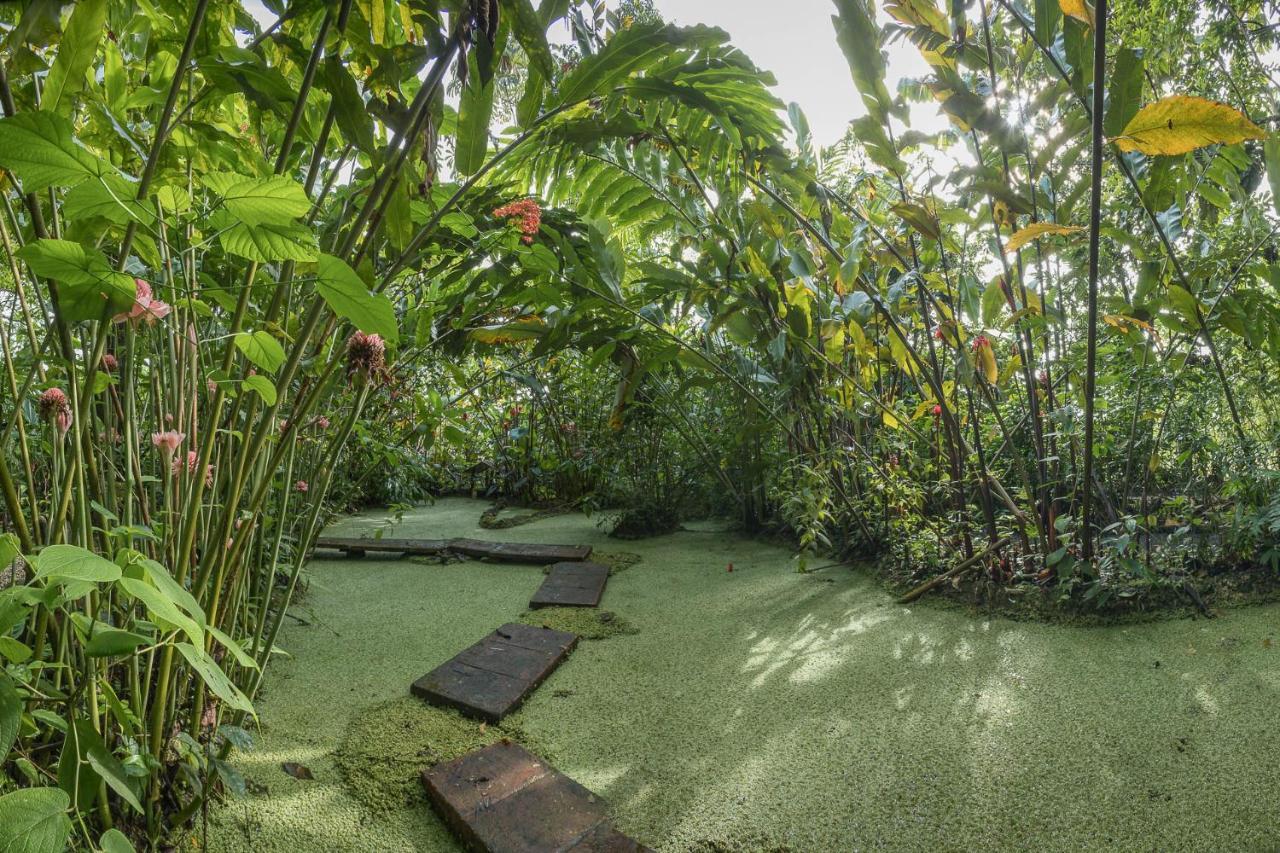 Cabanas Del Rio La Fortuna 外观 照片