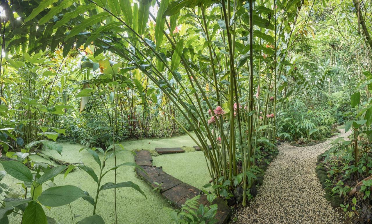 Cabanas Del Rio La Fortuna 外观 照片