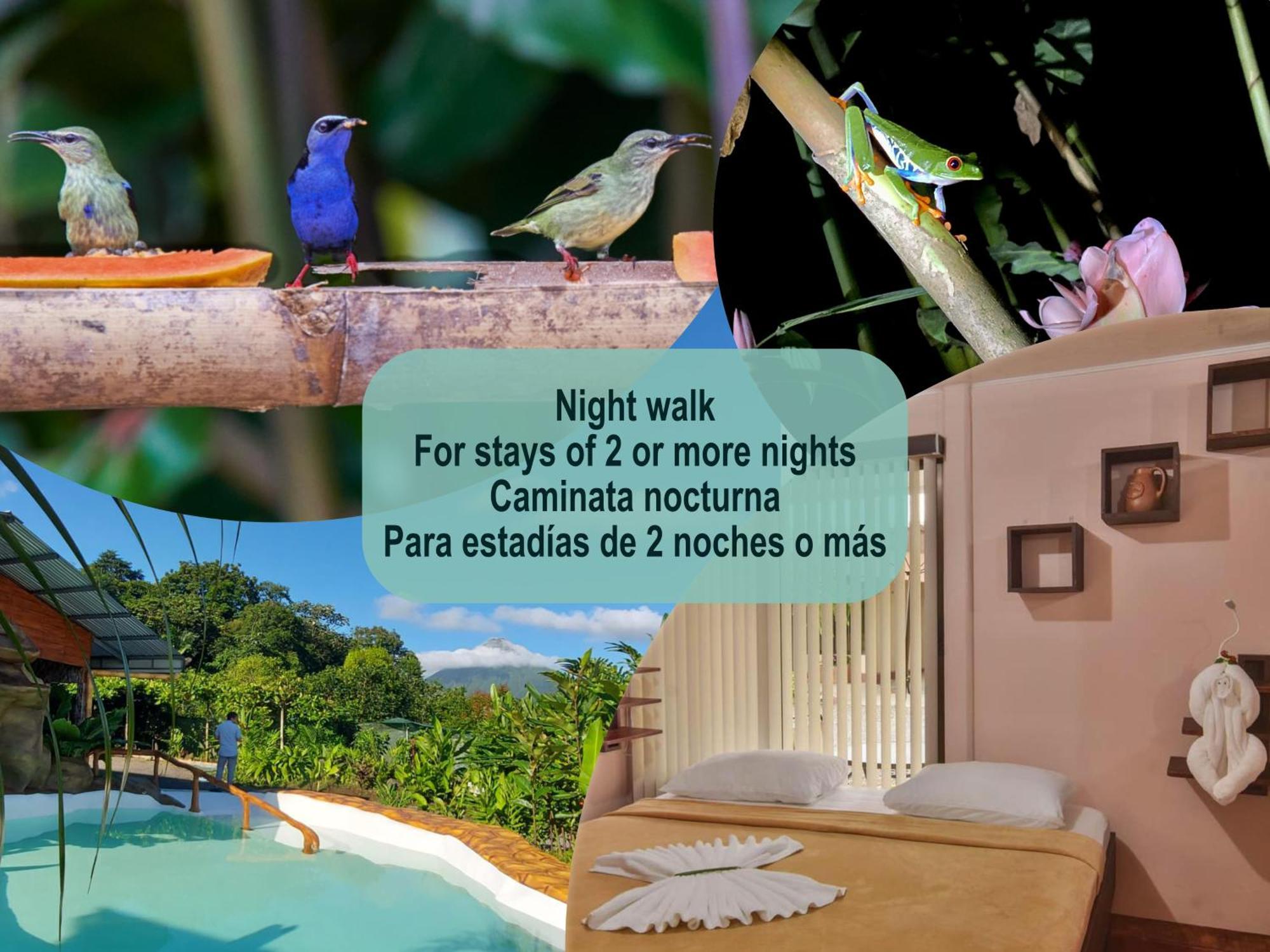 Cabanas Del Rio La Fortuna 外观 照片